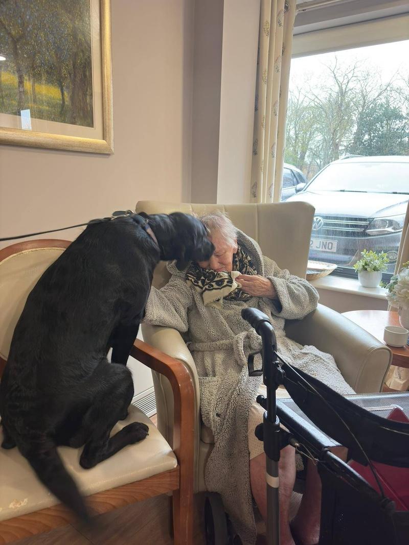 female resident sat in armchair stroking a black dog